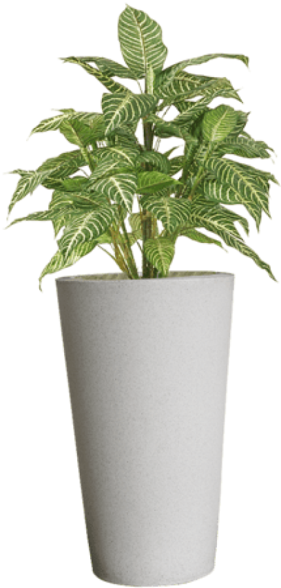 toppng.com-flower-pots-png-png-stock-plant-in-pot-215x450