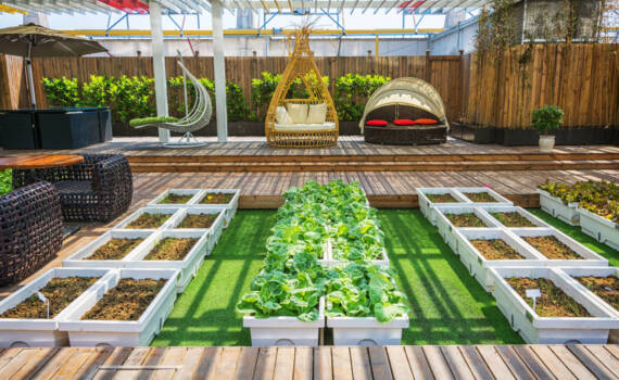 A covered lifestyle garden with indoor and outdoor living